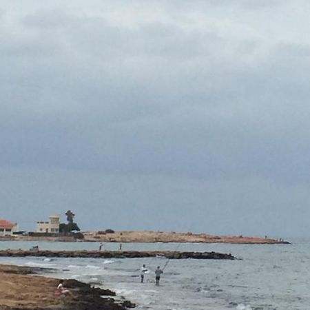 Apartamento Cala Del Palangre Torrevieja Zimmer foto